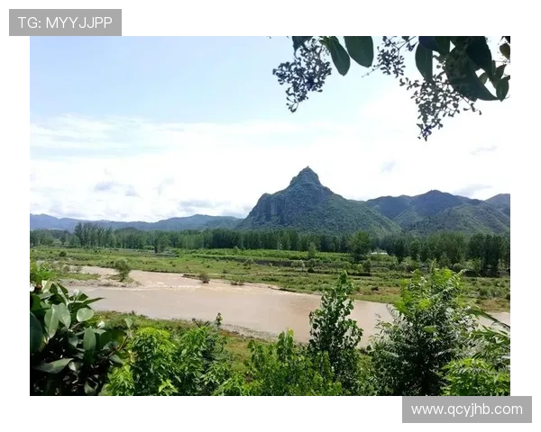 利夫拉门托谈伤缺阵两个月的沮丧与意外收获的积极心态